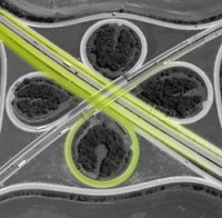 Digitalizace je klíčem k budoucnosti české dopravy, říká jeden ze závěrů Silniční konference